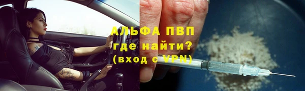 прущие грибы Алзамай
