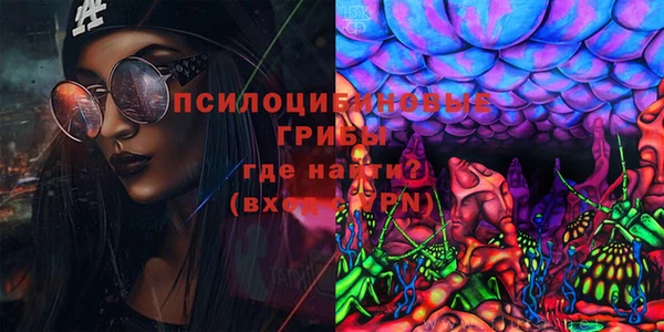 прущие грибы Алзамай