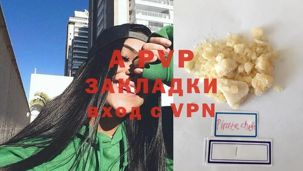 ECSTASY Осинники